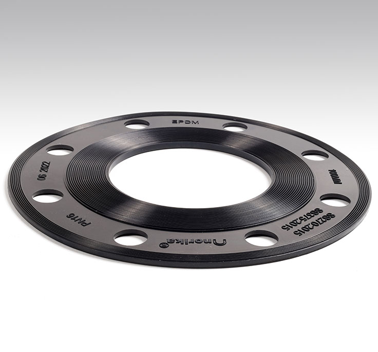 Rubber Flange Gaskets & Flanges