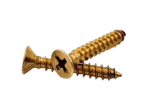 Brass Self Tapping Screw