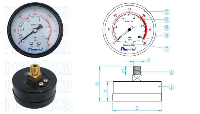 Dry Pressure Gauge (Back Mount Connection)