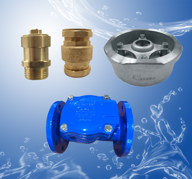 Check Valves - Backflow Preventer & Vacuum Valves