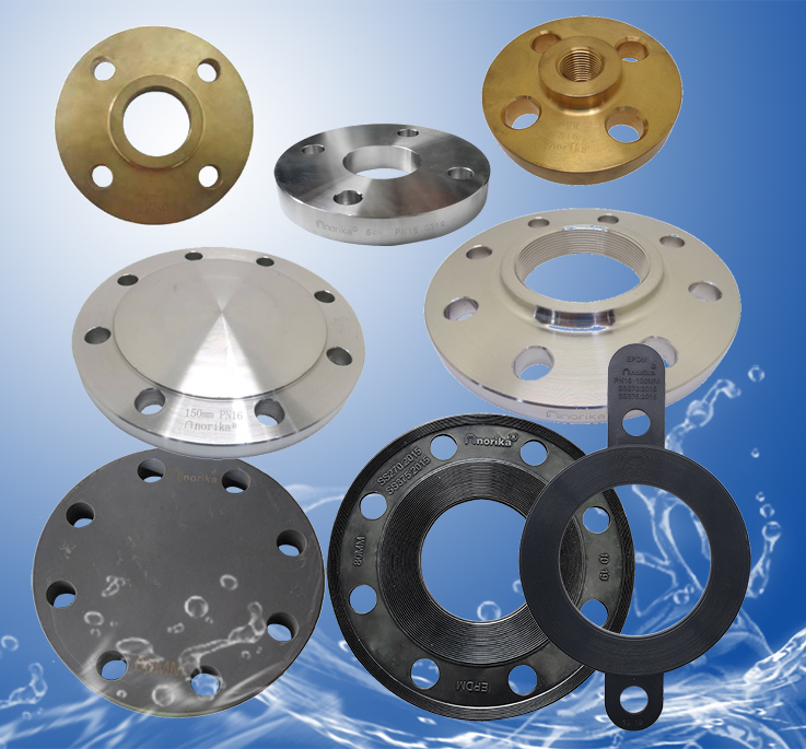 Rubber Flange Gaskets & Flanges