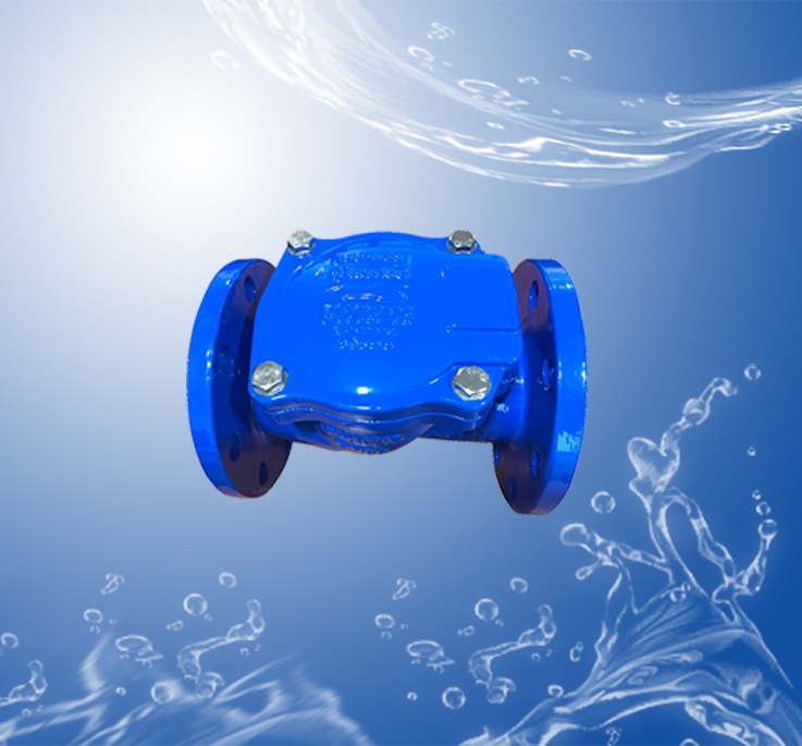 Check Valves