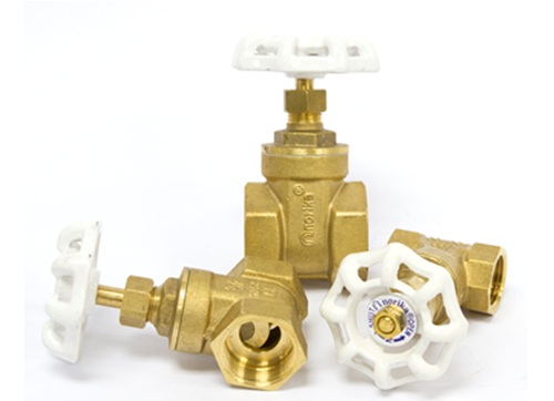 Brass Gate Valve BSP Thread End